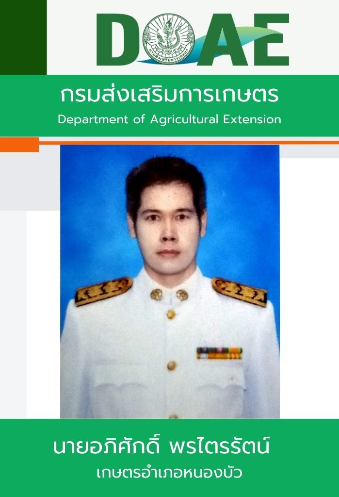 Apisak.jpg