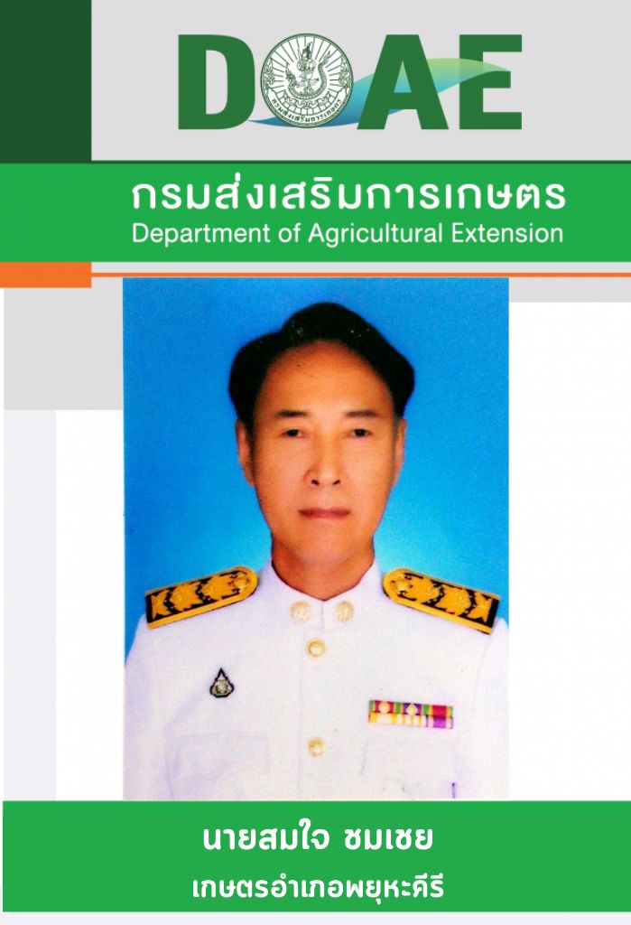 6phayuha