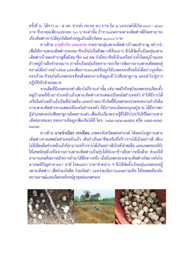 cassawatomushroom Page 3 resize