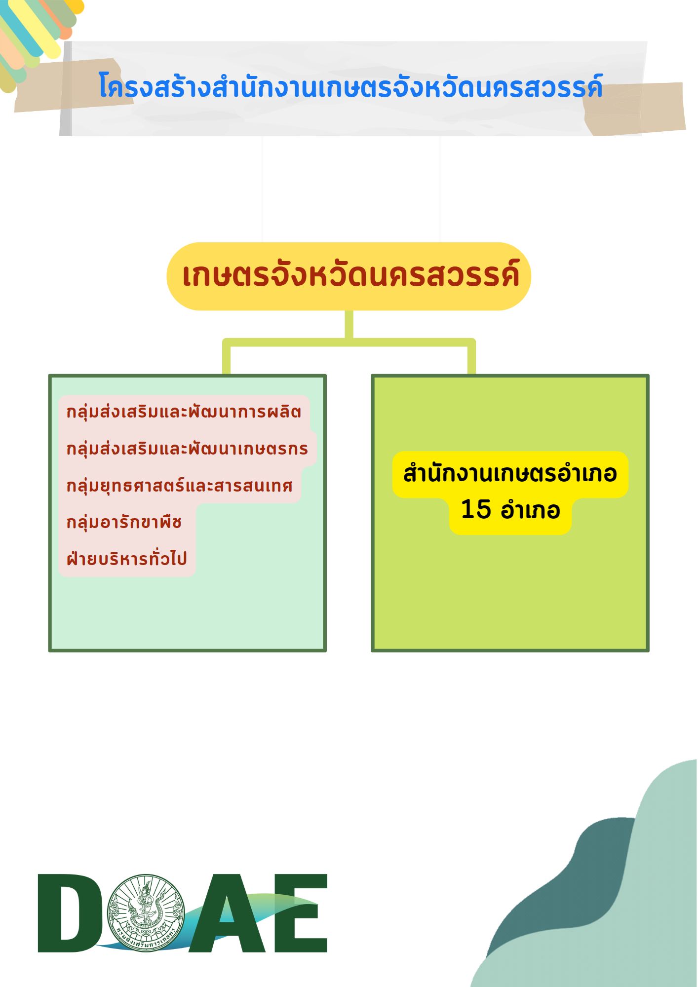 Management structure